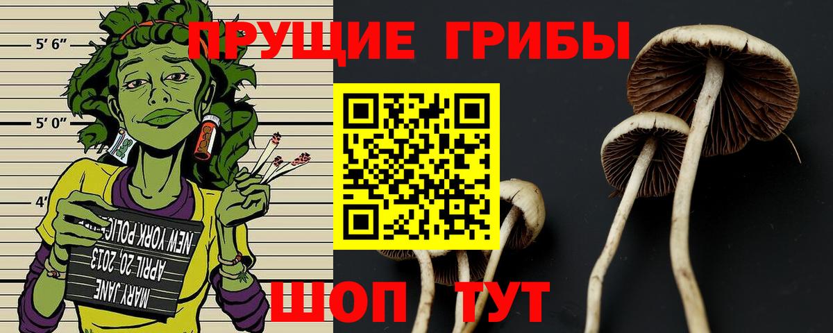 Псилоцибиновые грибы Magic Shrooms  Вход с VPN  Псилоцибиновые грибы Psilocybine cubensis  Кисловодск 
