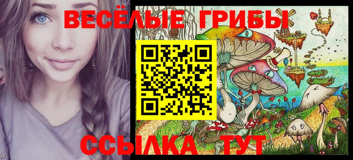 Галлюциногенные грибы GOLDEN TEACHER Кисловодск
